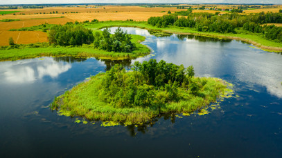 Działka Sprzedaż Buniewice