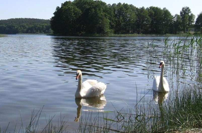 Działka Sprzedaż Zabierzewo 1