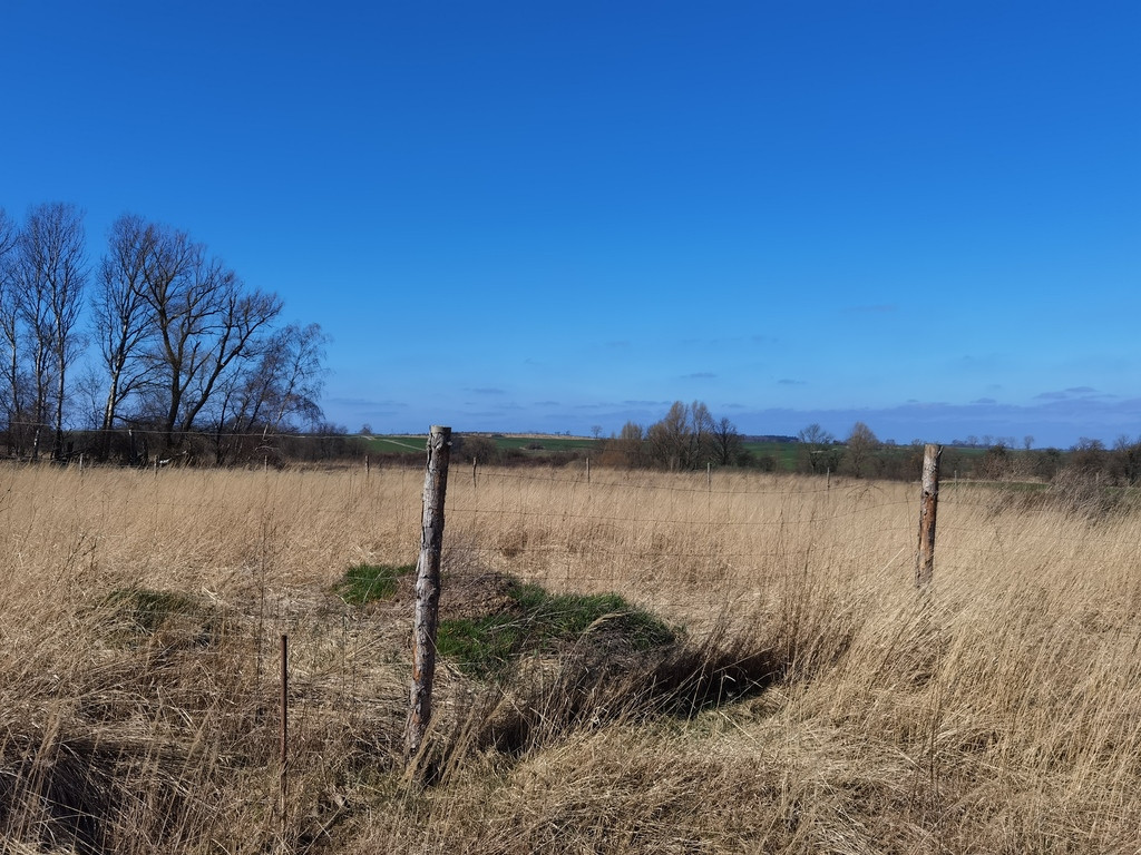 Działka Sprzedaż Karwowo