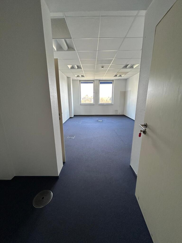 Lokal Wynajem  Centrum 6