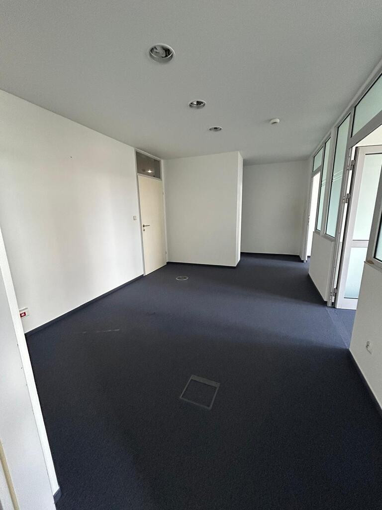 Lokal Wynajem  Centrum 13
