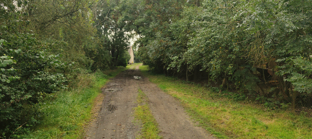 Działka Sprzedaż Barnisław 6