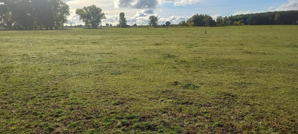 Działka Sprzedaż Borzysławiec