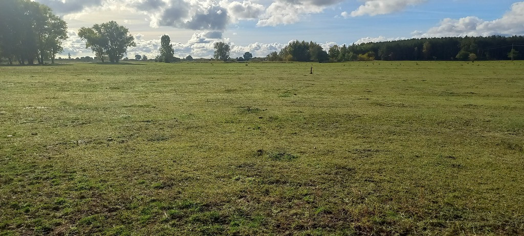 Działka Sprzedaż Borzysławiec 8