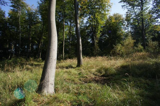 Działka Sprzedaż Dobra 3