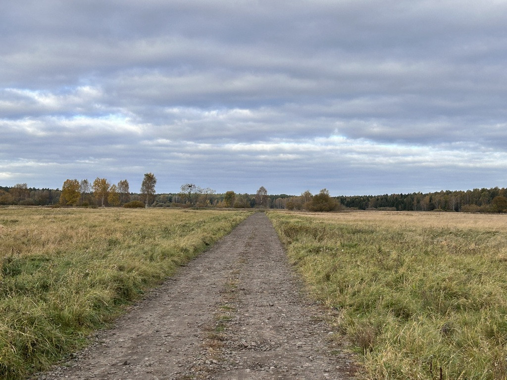 Działka Sprzedaż Niedźwiedź