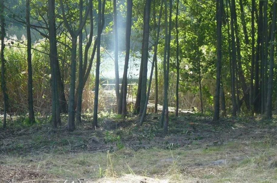 Działka Sprzedaż Zieleniewo 5