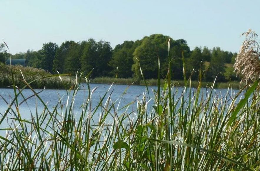 Działka Sprzedaż Zieleniewo 6