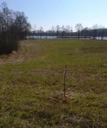 Działka Sprzedaż Kaszewo 5