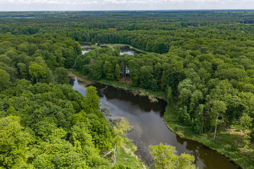 Działka Sprzedaż Wisławie