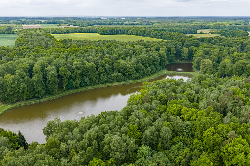 Działka Sprzedaż Wisławie