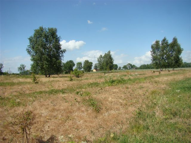 Działka Sprzedaż Stargard 8