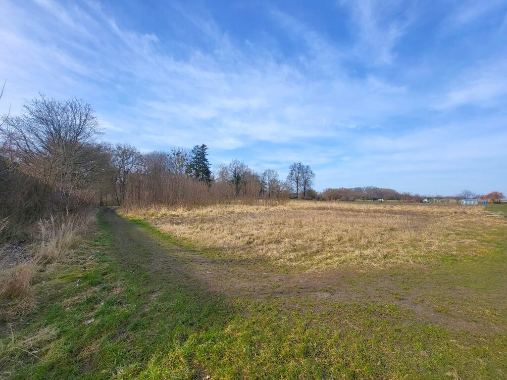 Działka Sprzedaż Koszewo