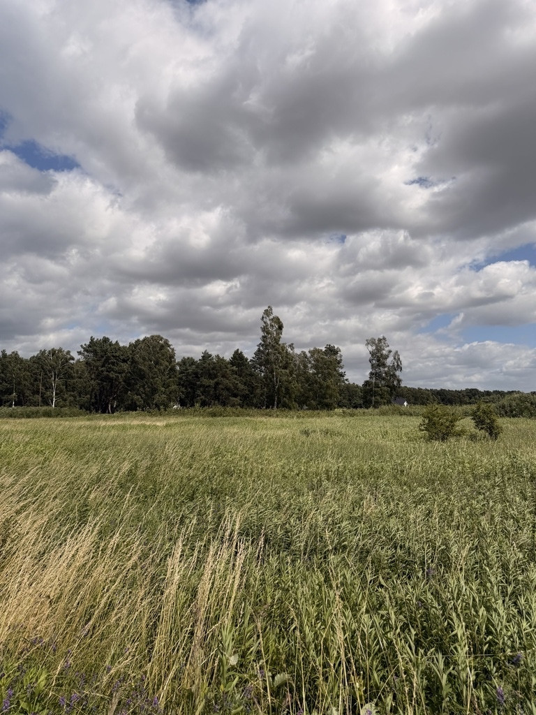 Działka Sprzedaż Niedźwiedź 8