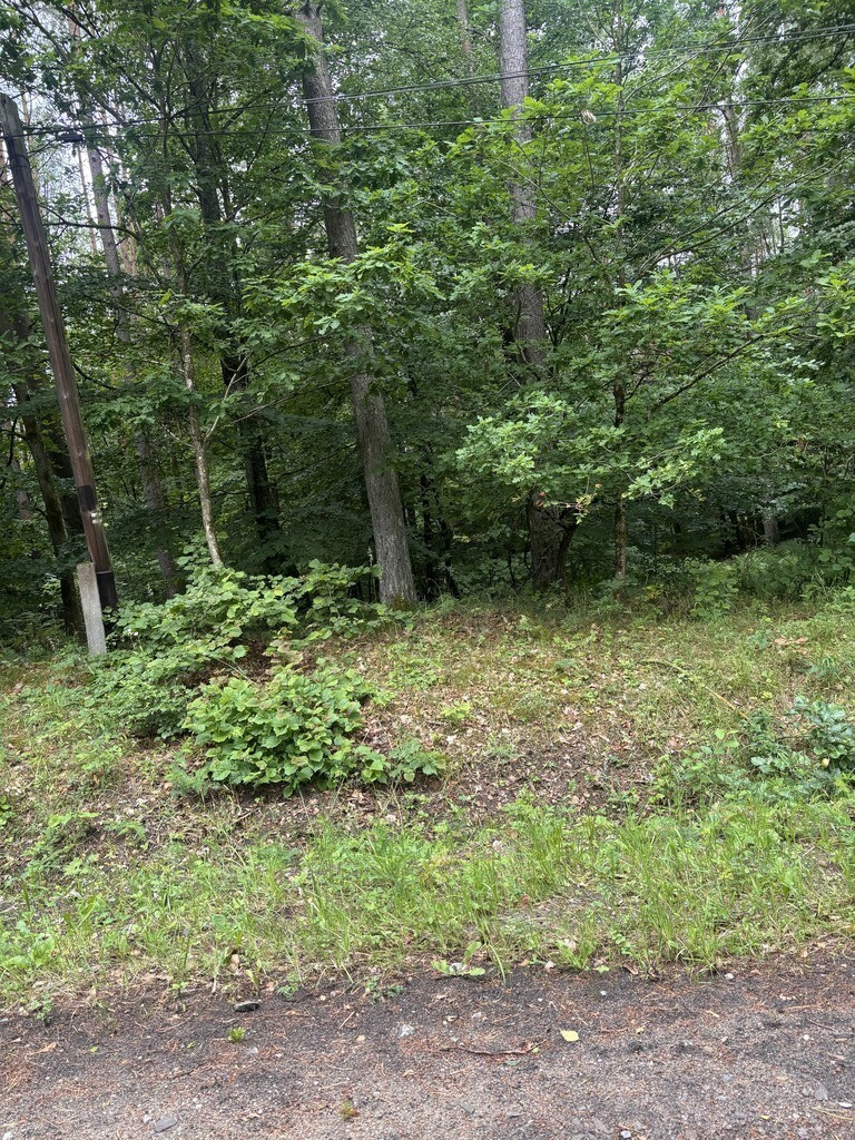 Działka Sprzedaż Piaseczno 6