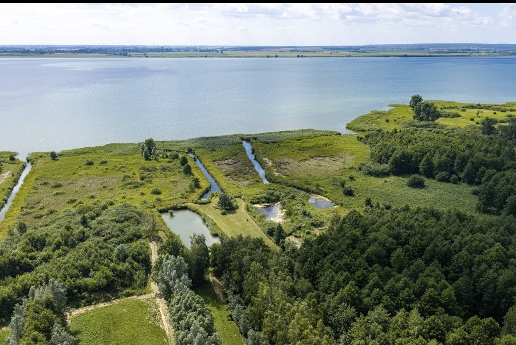 Działka Sprzedaż Wierzbno 7