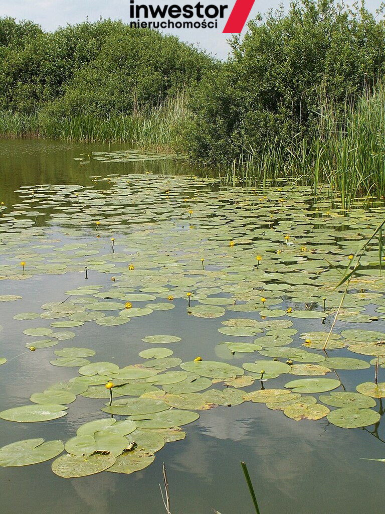 Działka Sprzedaż Giżyn 3