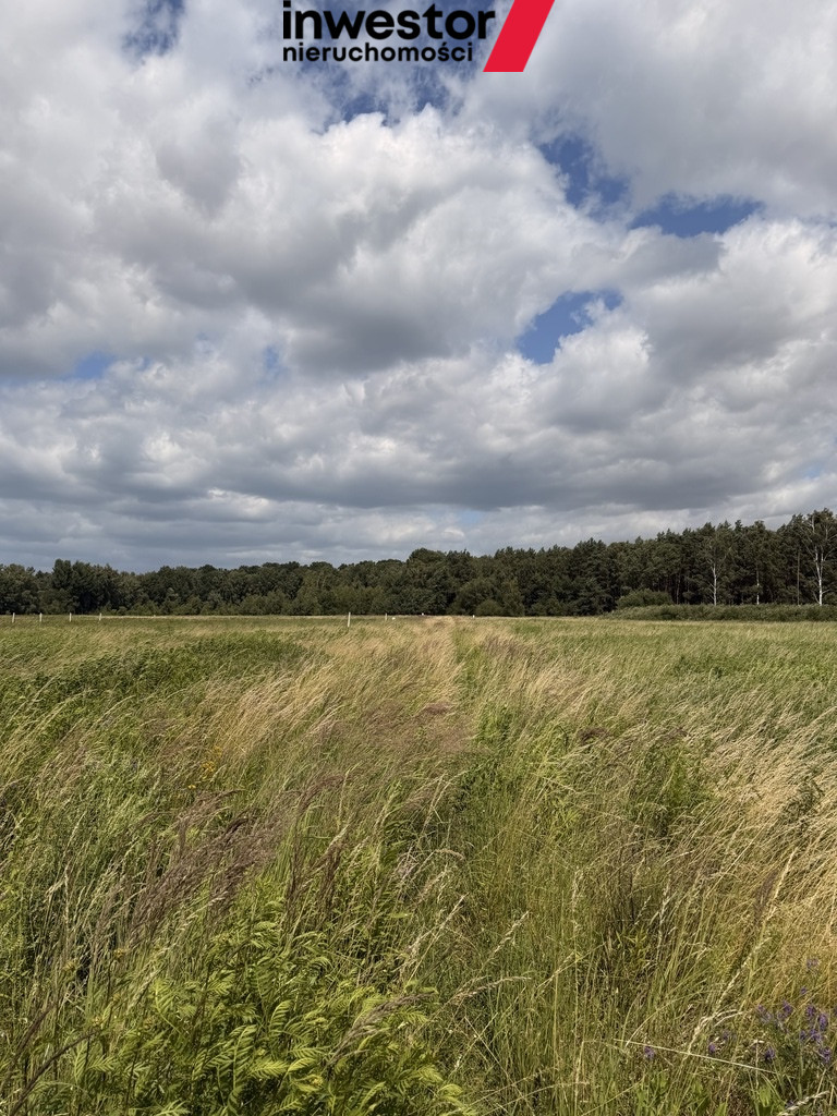 Działka Sprzedaż Niedźwiedź 6