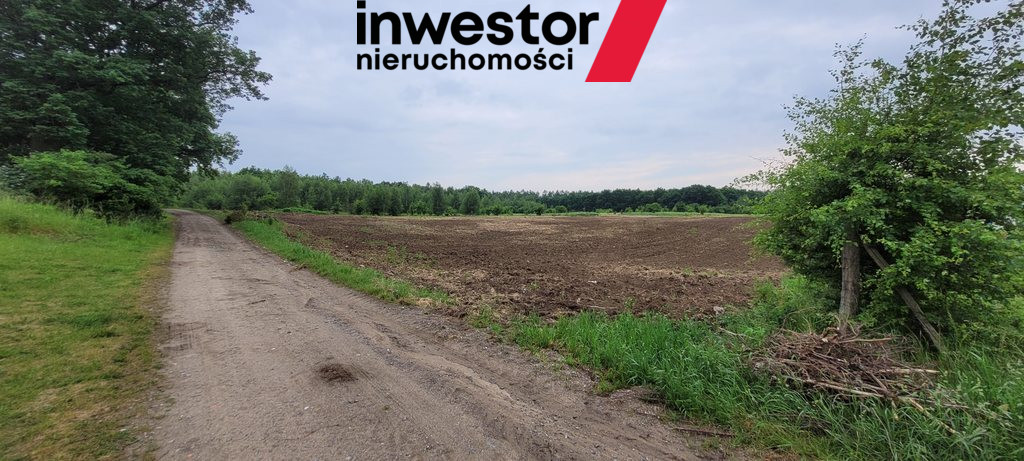 Działka Sprzedaż Binowo