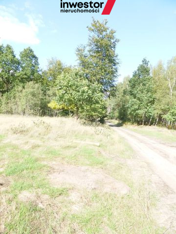 Działka Sprzedaż Grzepnica