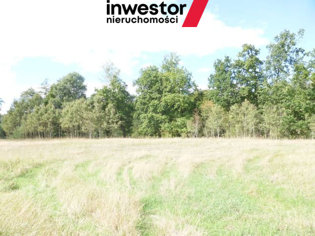Działka Sprzedaż Grzepnica