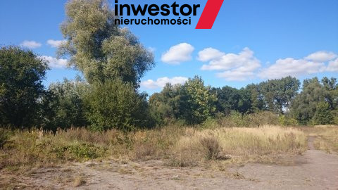 Działka Sprzedaż Radzanek