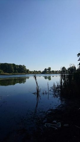 Działka Sprzedaż Radzanek