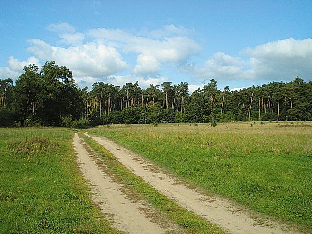 Działka Sprzedaż Kościno 4