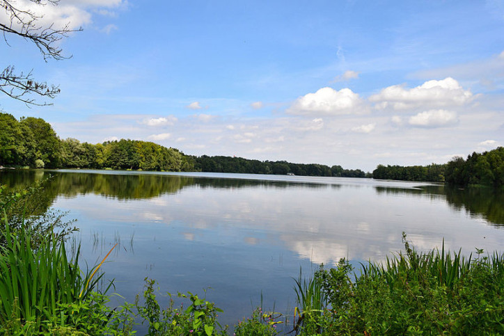 Działka Sprzedaż Czaplinek 1