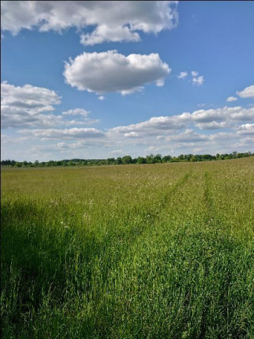 Działka Sprzedaż Dolina 2