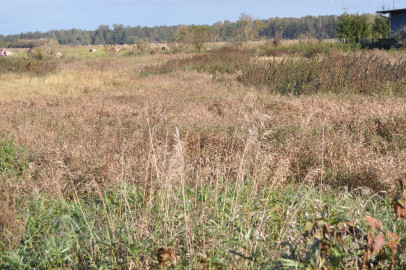 Działka Sprzedaż Wielbark