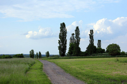 Działka Sprzedaż Bobolin