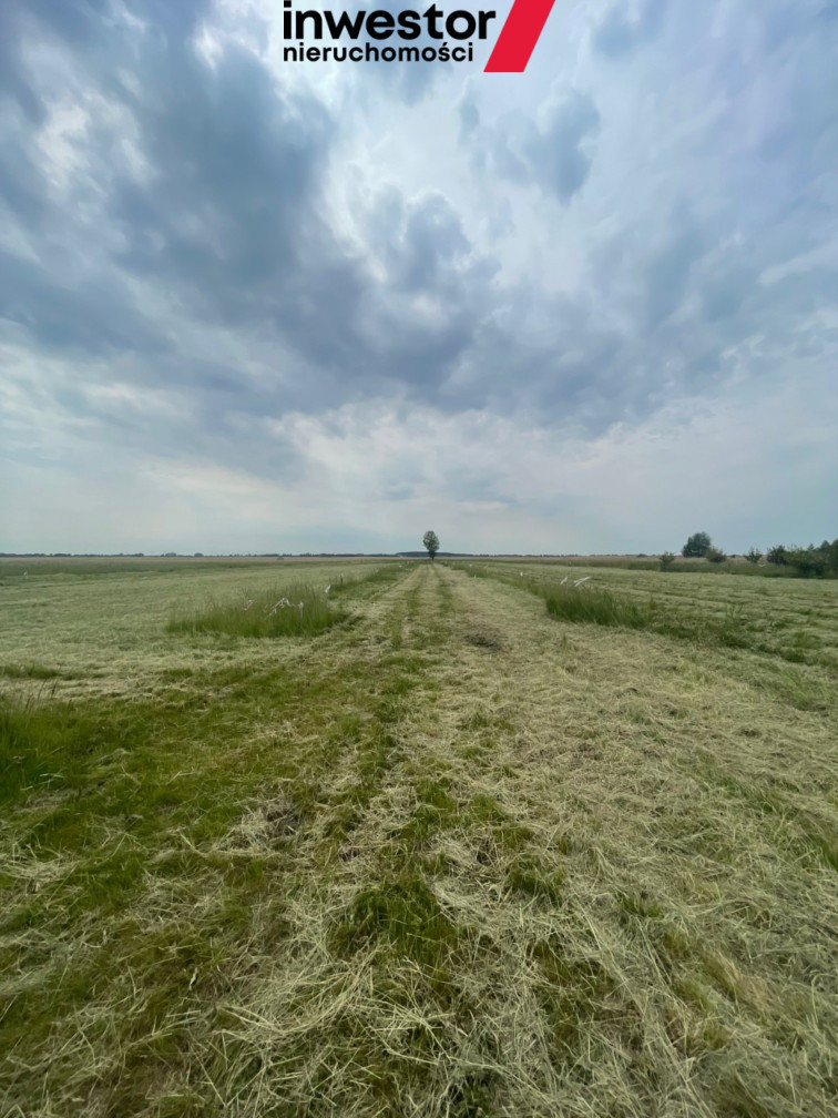 Działka Sprzedaż Wierzbno