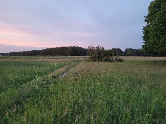 Działka Sprzedaż Lubczyna 2