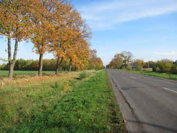 Działka Sprzedaż Kobylanka