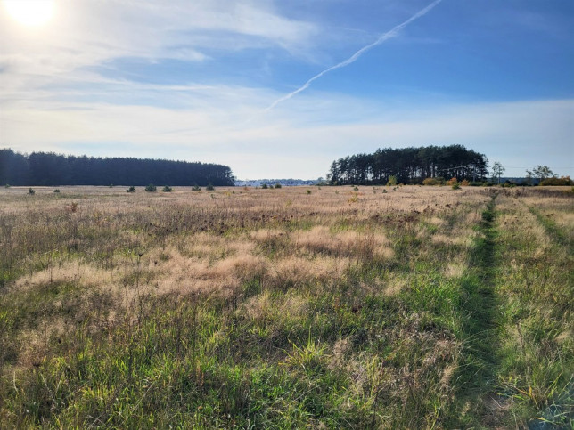 Działka Sprzedaż Białuń 4