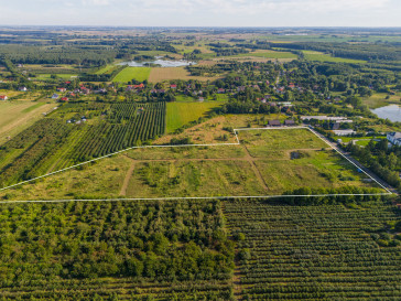 Działka Sprzedaż Binowo