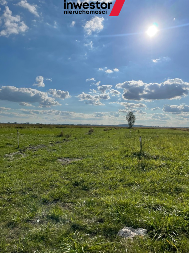 Działka Sprzedaż Wierzbno