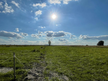 Działka Sprzedaż Wierzbno