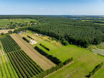 Działka Sprzedaż Binowo