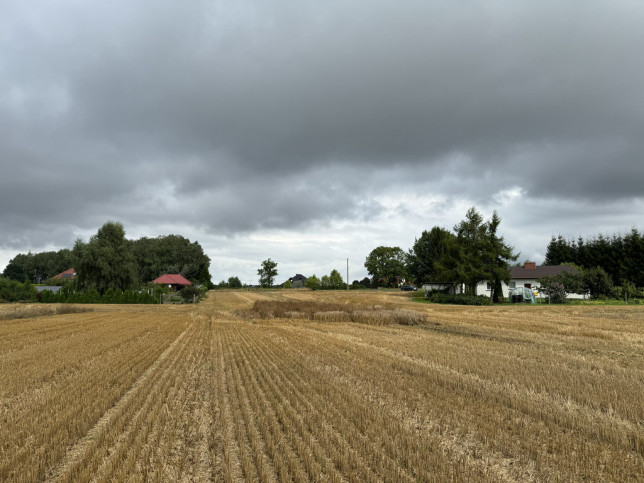 Działka Sprzedaż Kolonia Maszewo 1