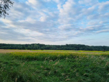 Działka Sprzedaż Szczecin Wielgowo Żywiczna