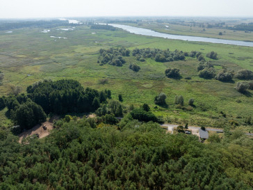 Działka Sprzedaż Stary Błeszyn