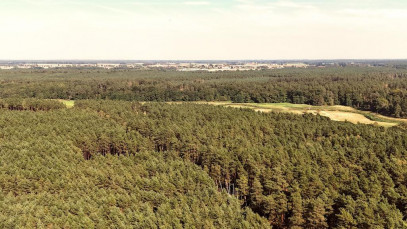 Działka Sprzedaż Strumiany