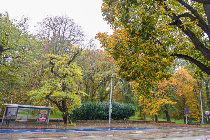 Mieszkanie Sprzedaż Szczecin Śródmieście Jacka Malczewskiego 21