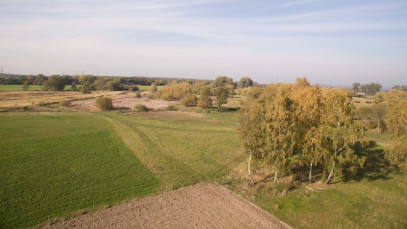 Działka Sprzedaż Szczecin Skolwin