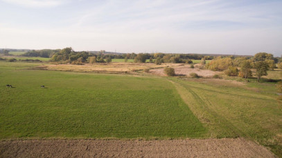 Działka Sprzedaż Szczecin Skolwin