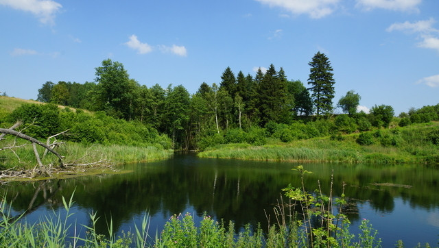 Działka Sprzedaż Bobolice 17