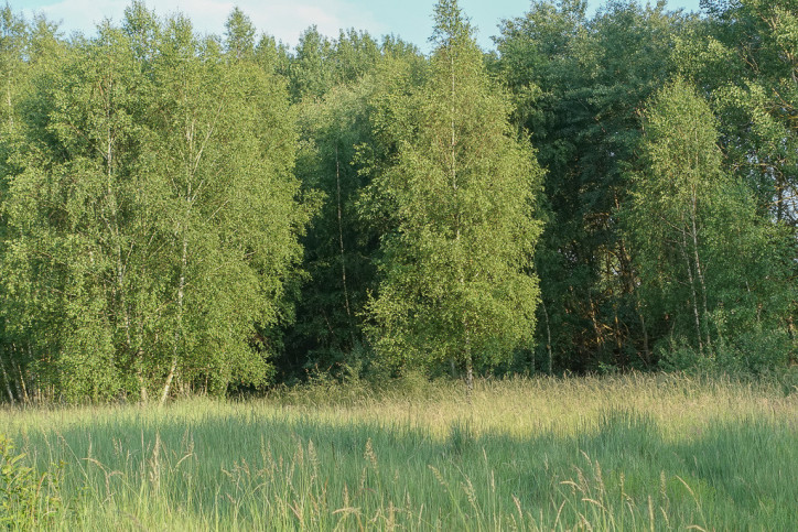 Działka Sprzedaż Grzepnica 8