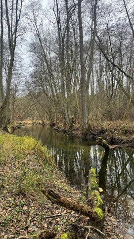 Działka Sprzedaż Szczecin Płonia 6